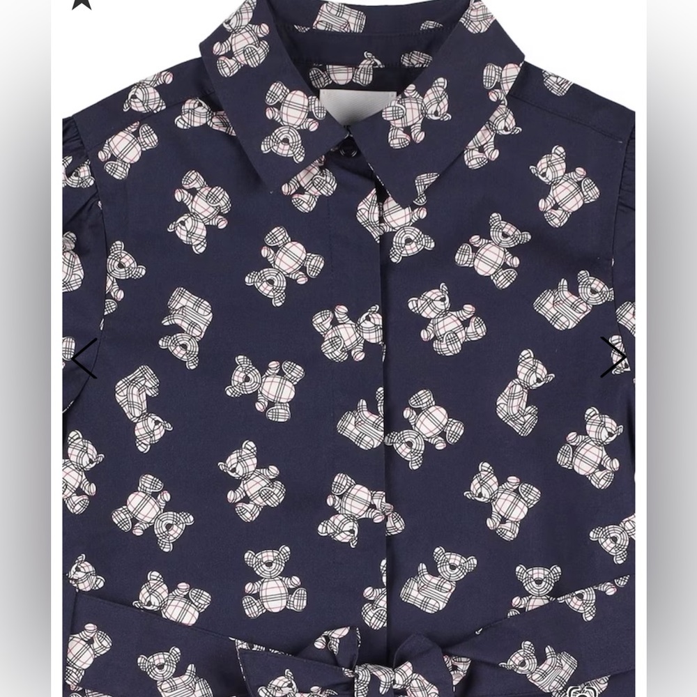 Burberry Limited Edition Bear Printed Cotton Shirt Dress